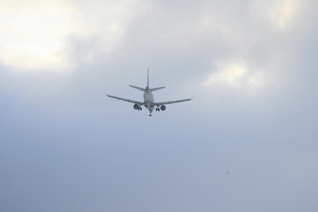 IMG_2381.JPG