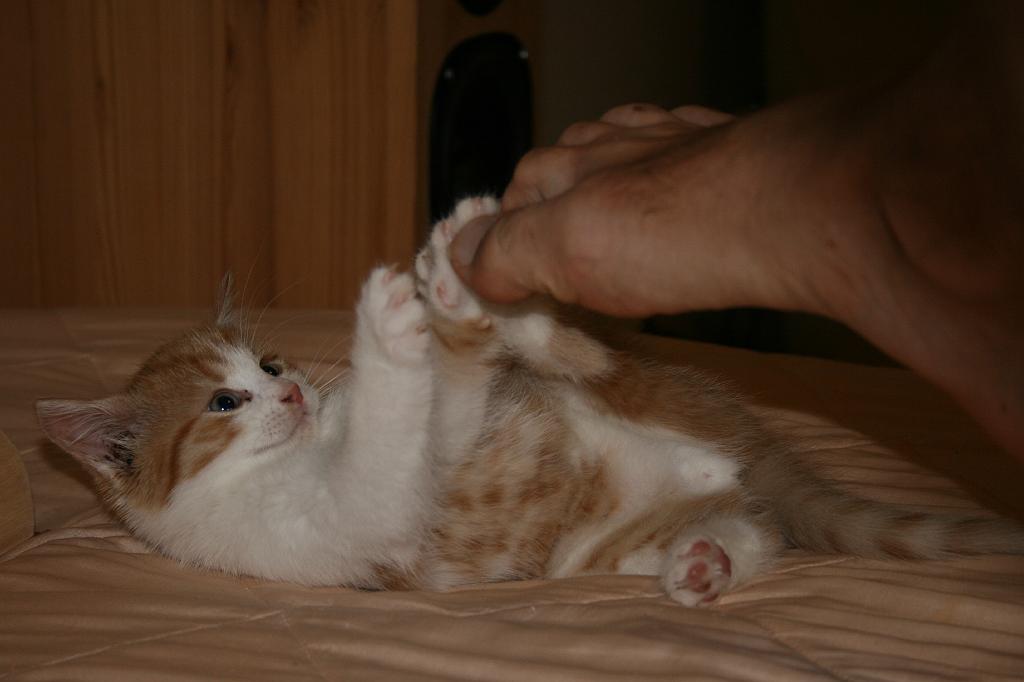 IMG_9555.JPG
