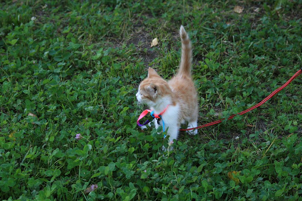 IMG_9626.JPG