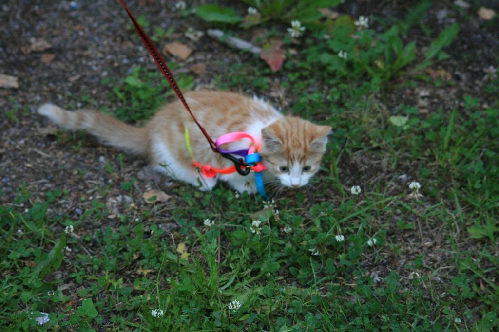 IMG_9638.JPG