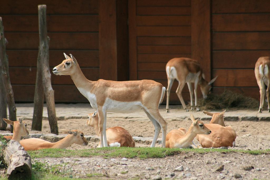 IMG_0362.JPG