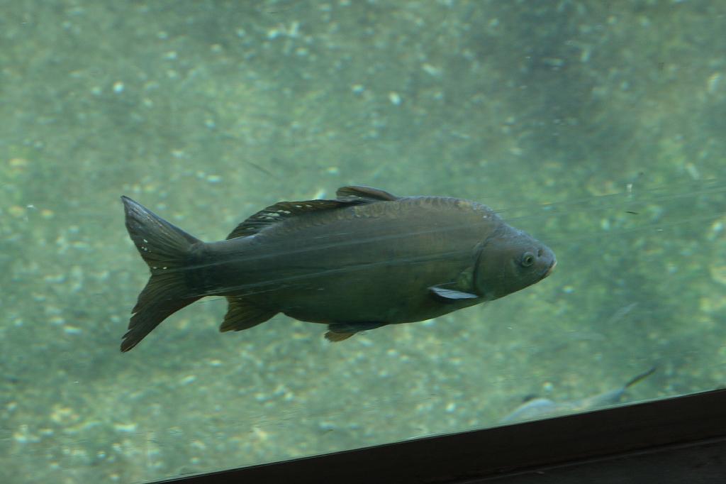 IMG_0446.JPG