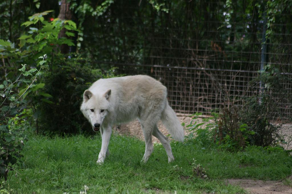 IMG_0554.JPG