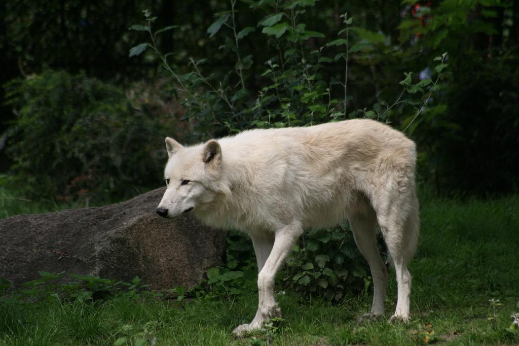 IMG_0562.JPG