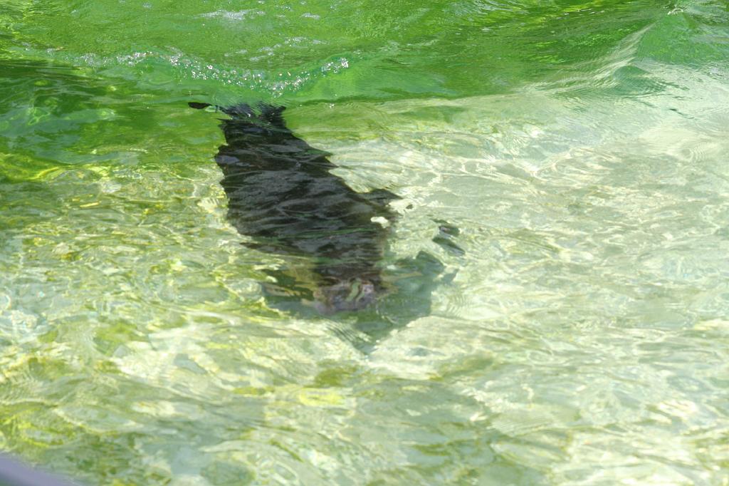 IMG_0643.JPG