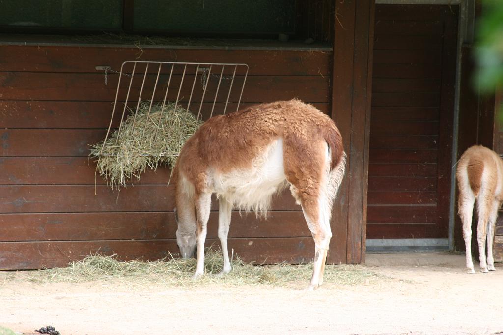 IMG_0670.JPG