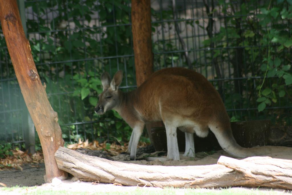 IMG_0673.JPG