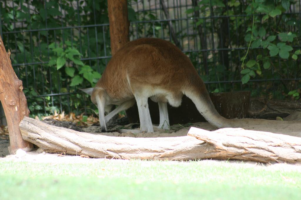 IMG_0675.JPG