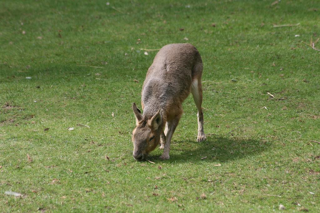 IMG_0692.JPG