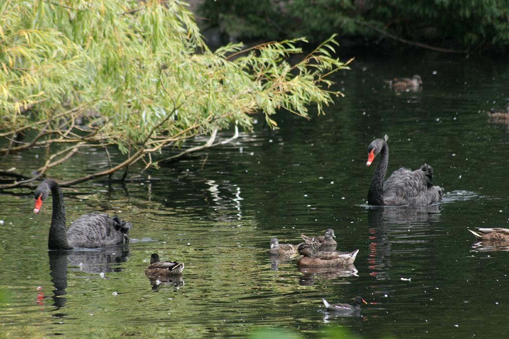 IMG_0734.JPG