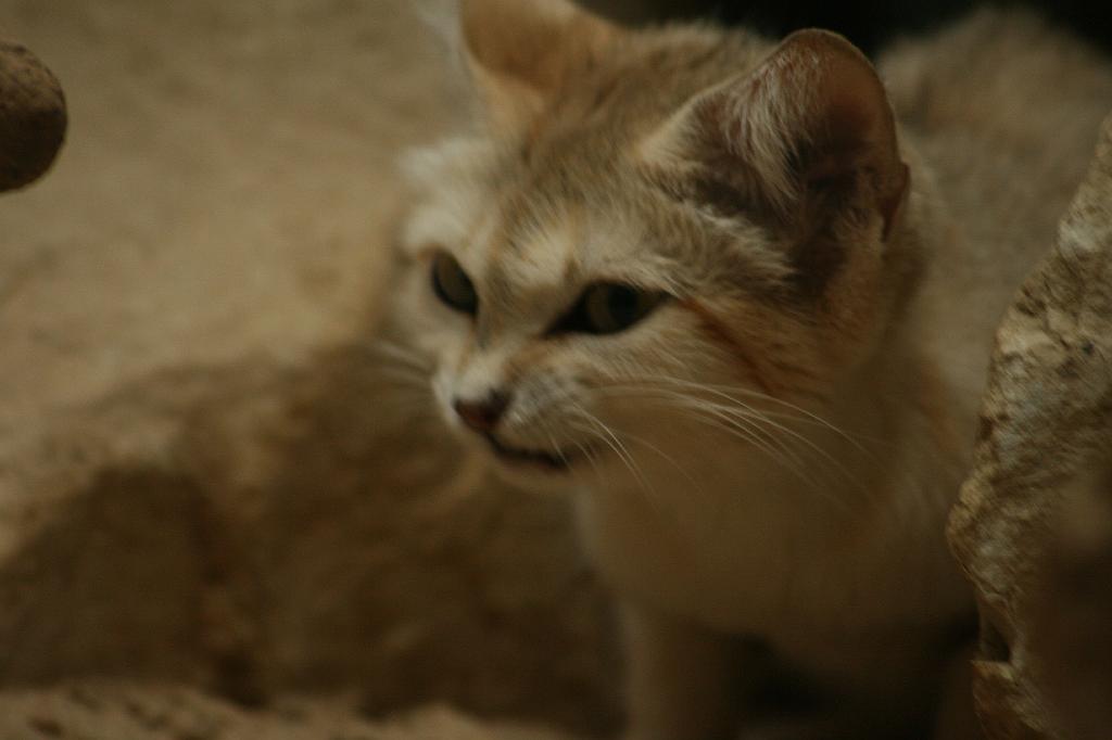 IMG_0803.JPG