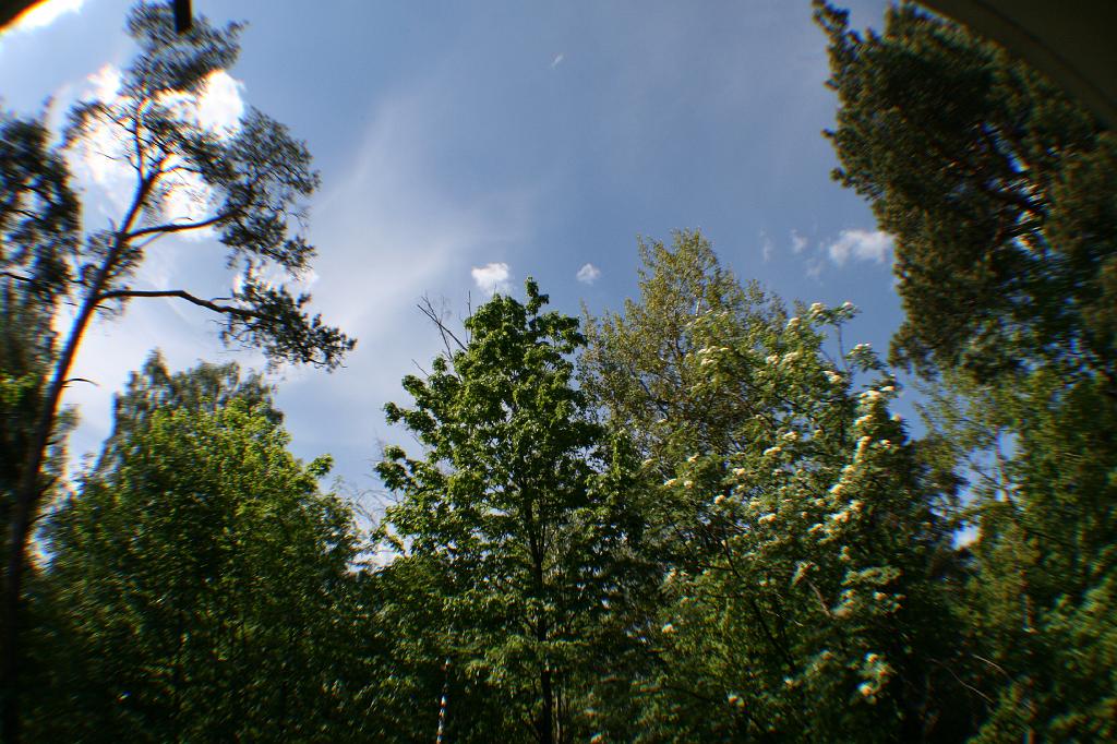 IMG_8783.JPG