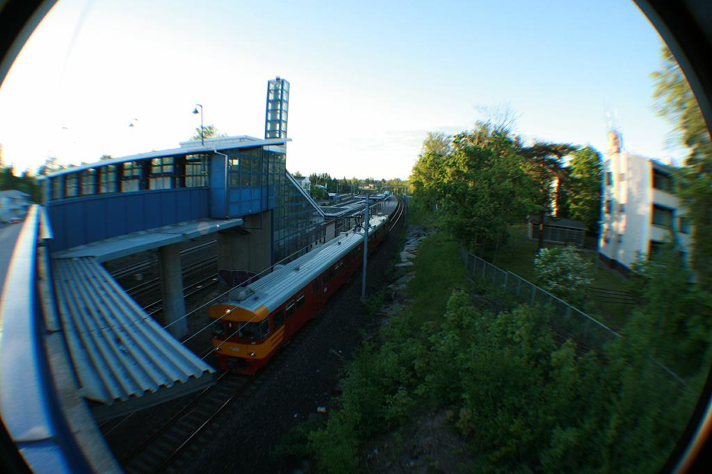 IMG_8828.JPG