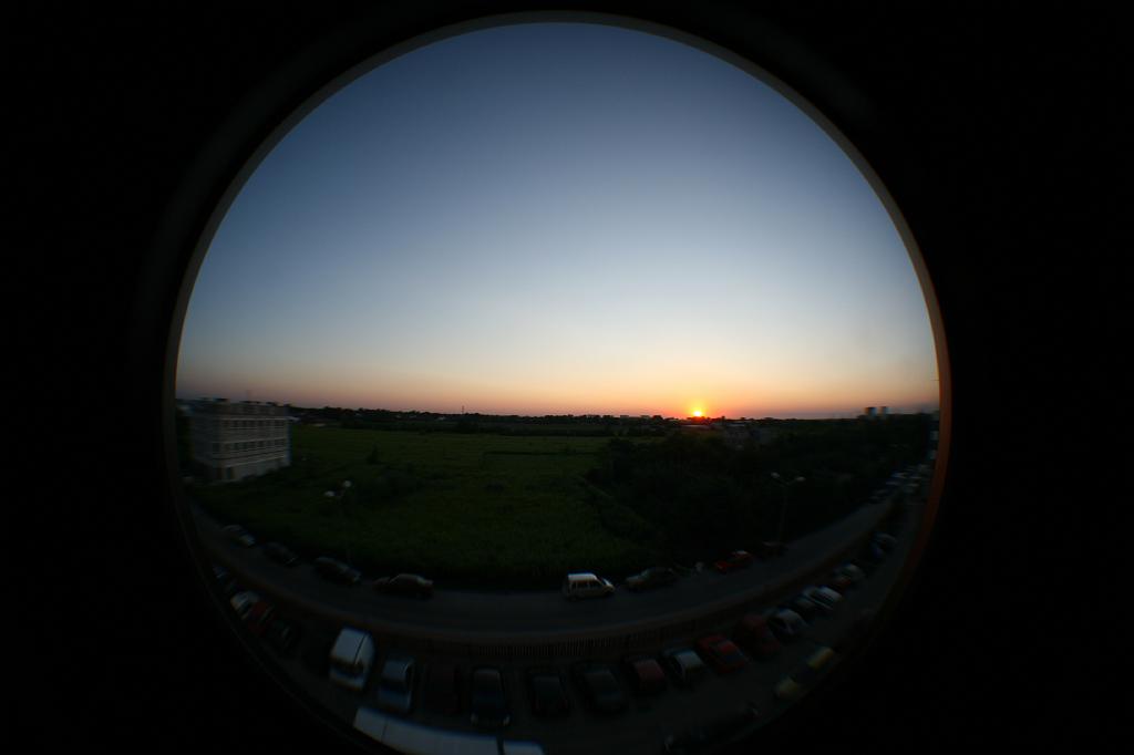 IMG_9877.JPG
