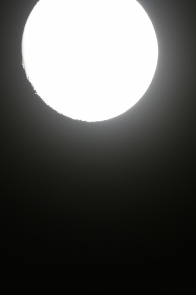 IMG_7548.JPG