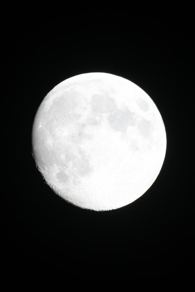 IMG_7549.JPG