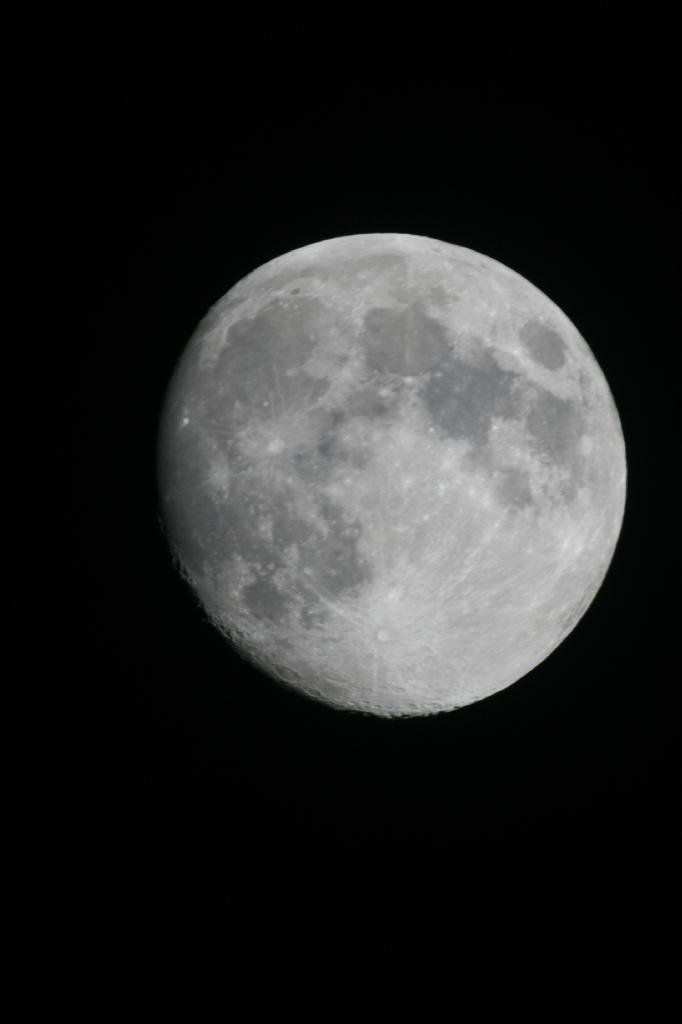 IMG_7551.JPG