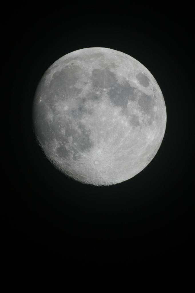 IMG_7556.JPG