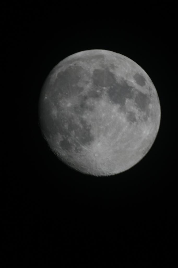 IMG_7562.JPG