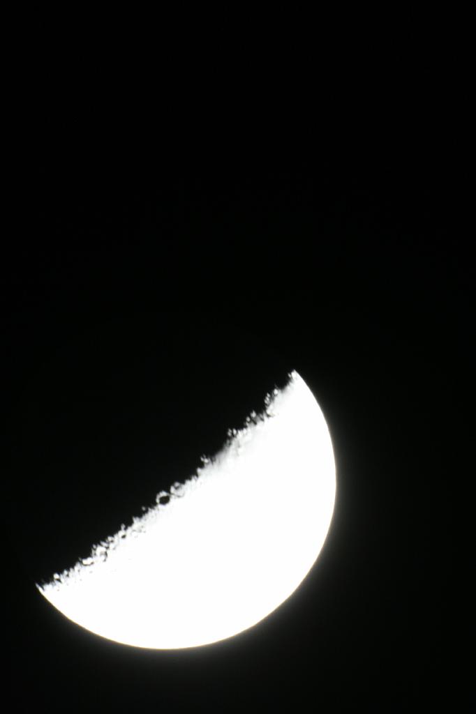 IMG_7706.JPG