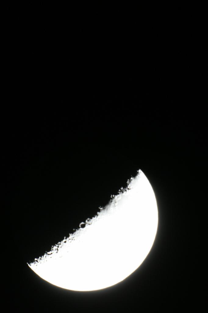 IMG_7707.JPG