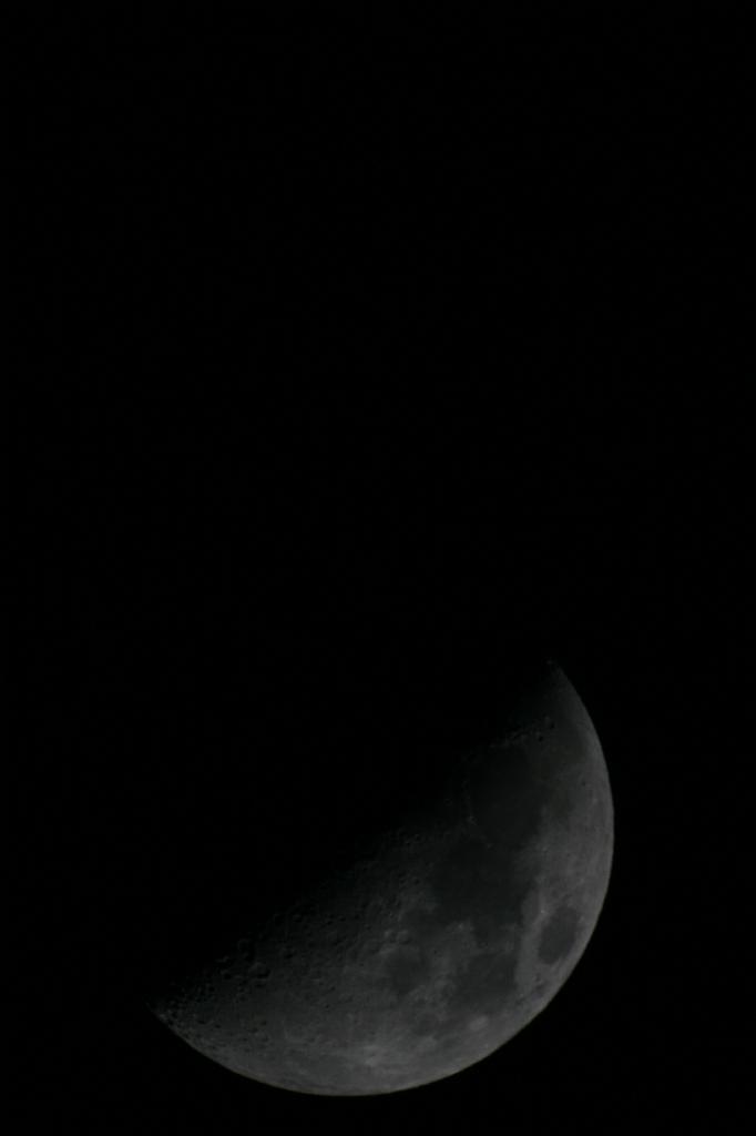 IMG_7708.JPG