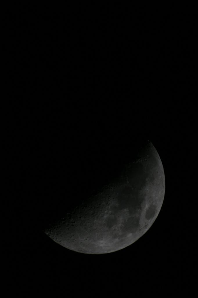 IMG_7709.JPG