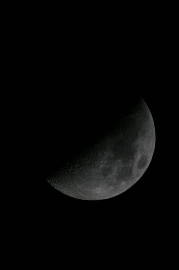 IMG_7711.JPG