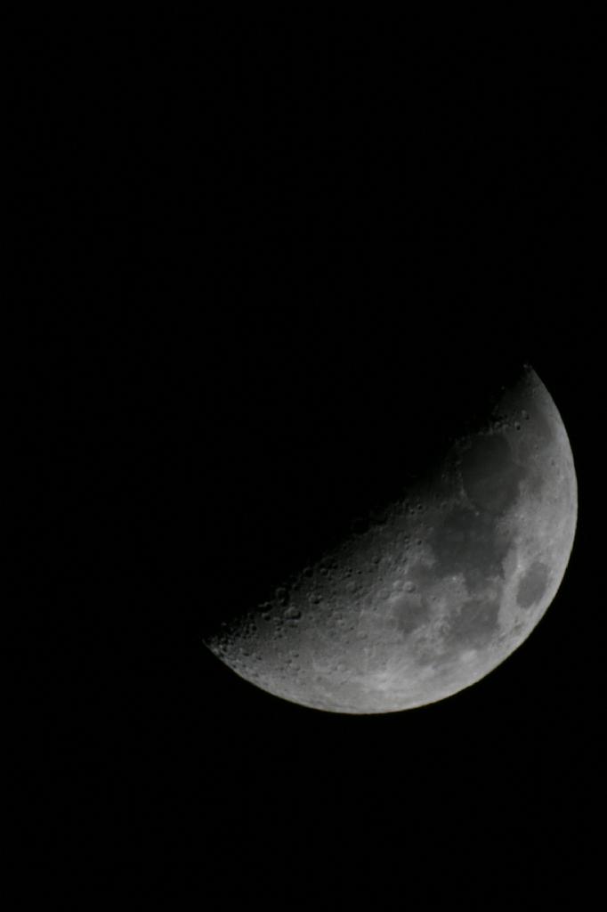 IMG_7713.JPG