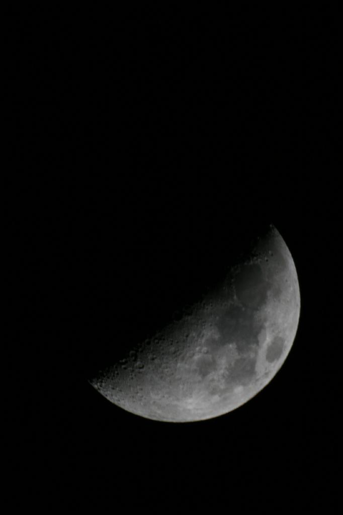 IMG_7714.JPG
