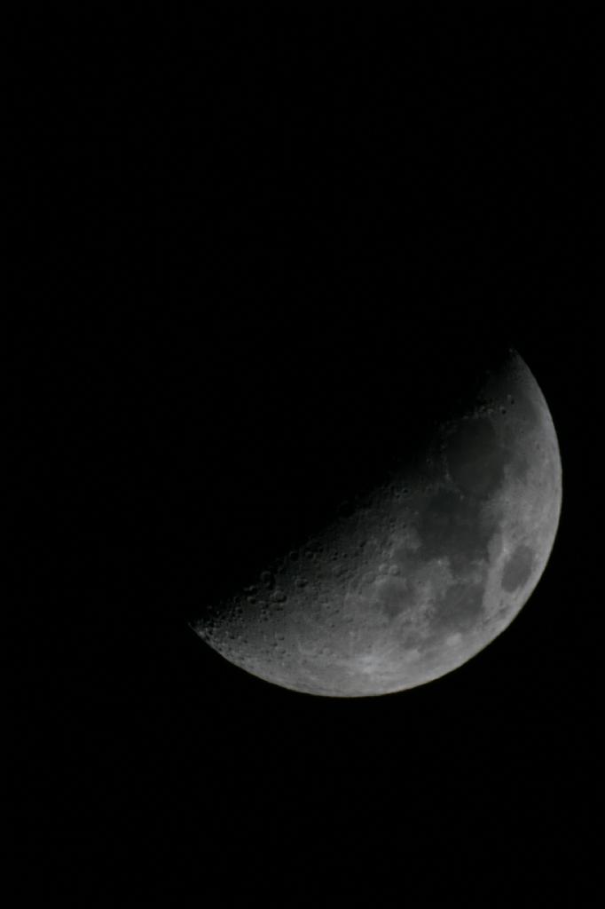 IMG_7716.JPG