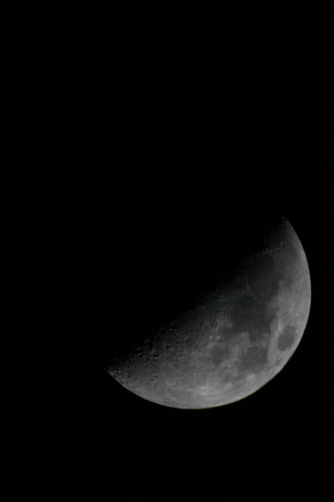 IMG_7719.JPG