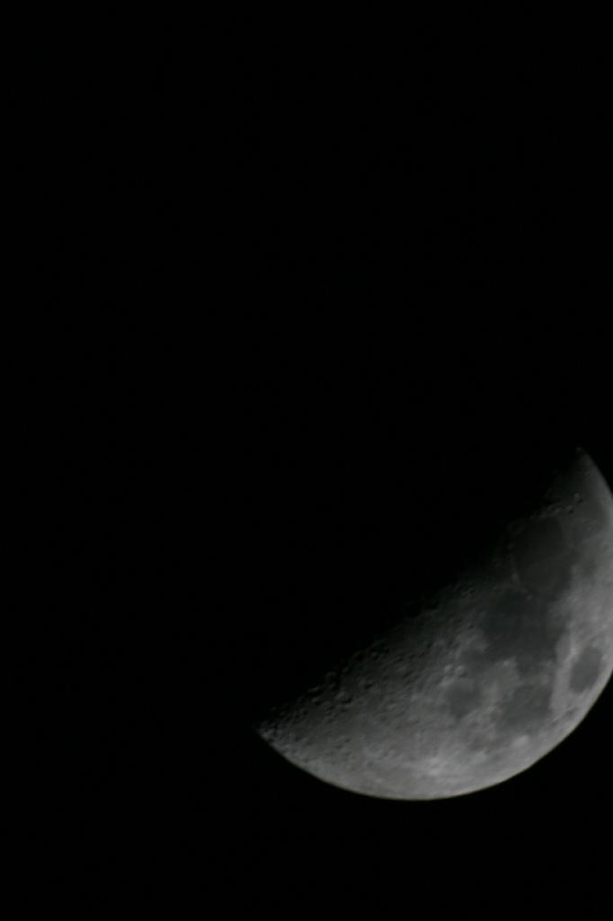 IMG_7721.JPG