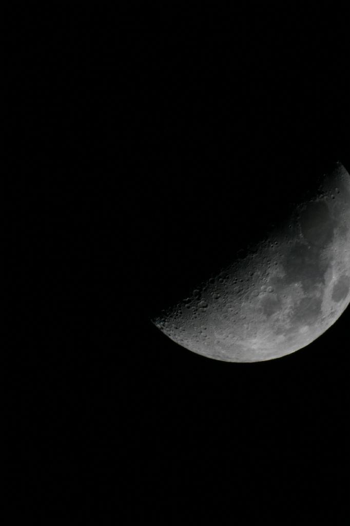 IMG_7726.JPG