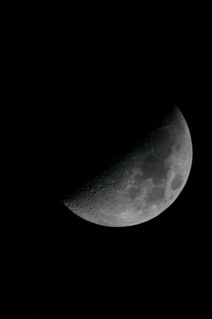 IMG_7727.JPG