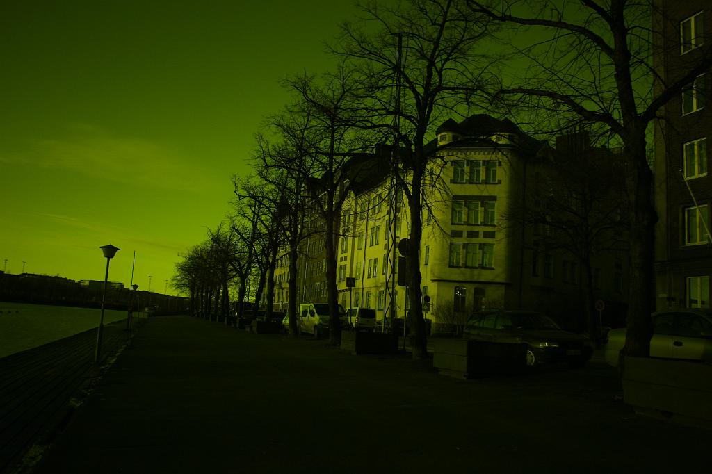 IMG_7335.JPG