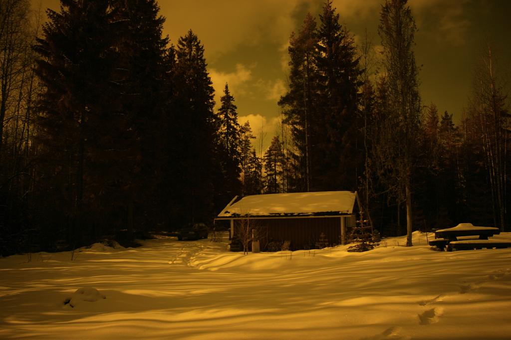 IMG_8014.JPG