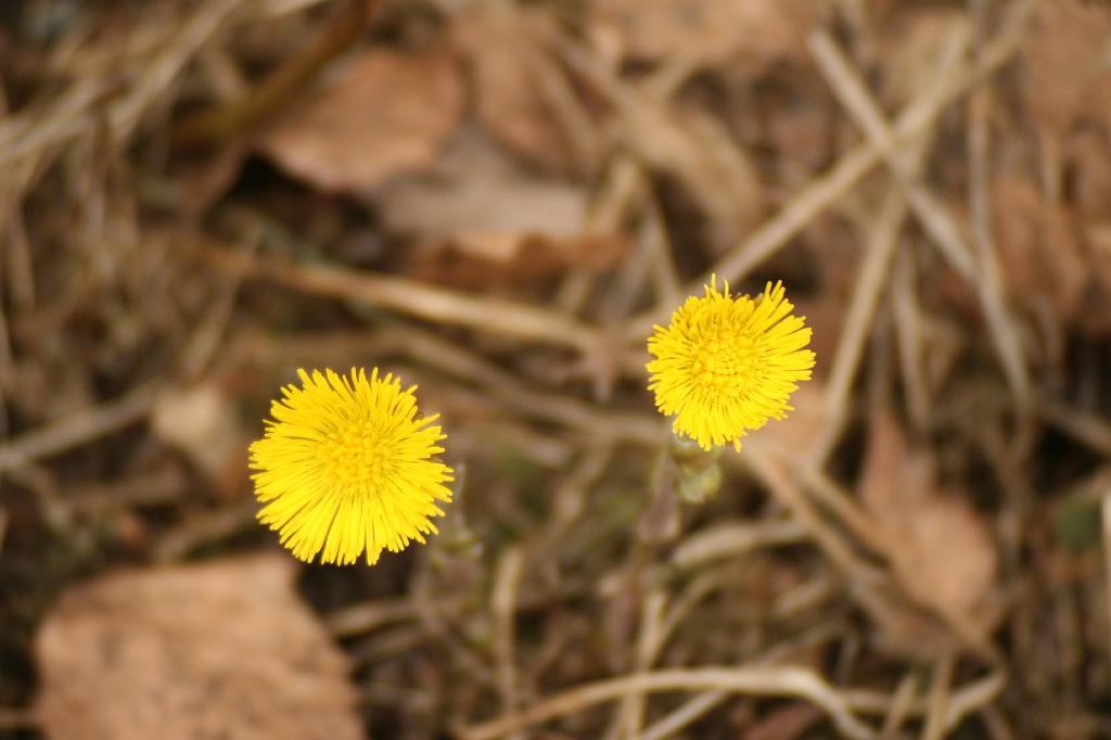 IMG_3287.JPG