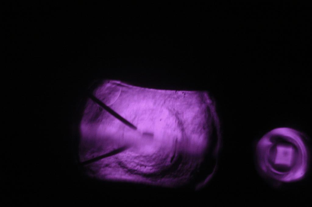 IMG_6737.JPG