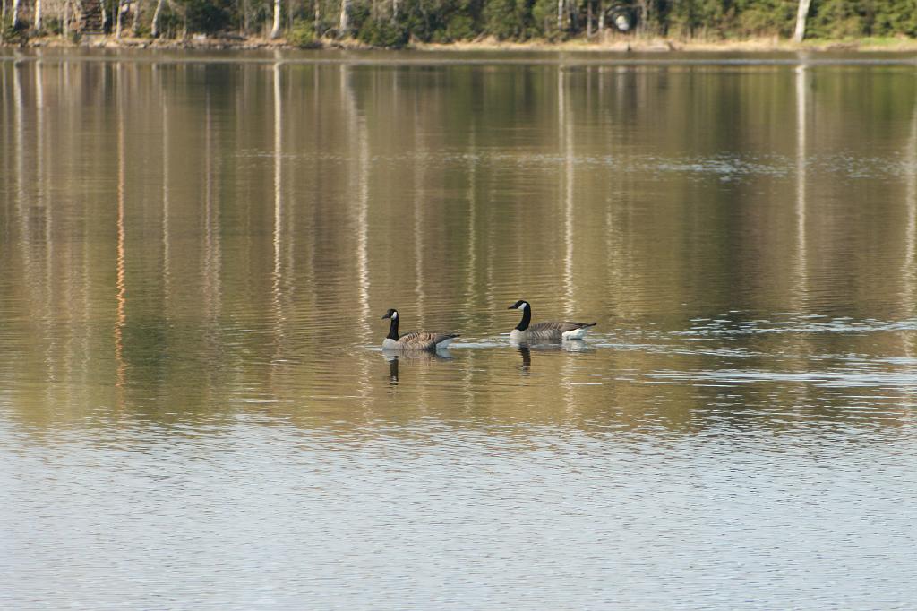 IMG_3822.JPG