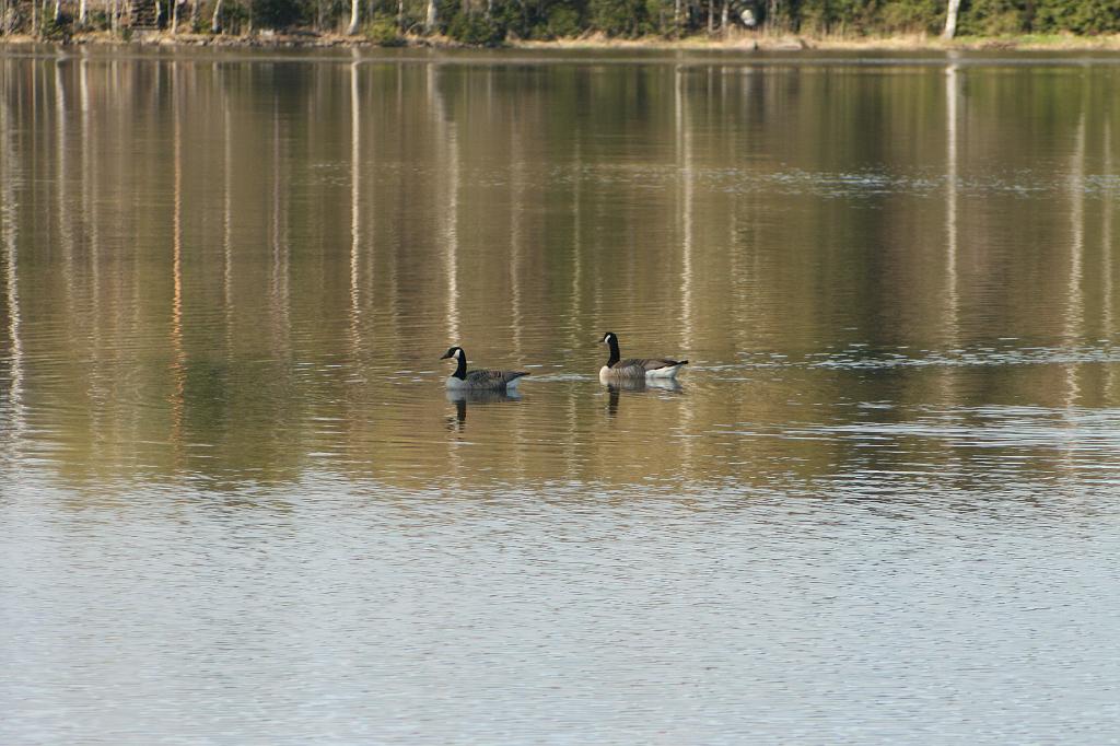 IMG_3823.JPG
