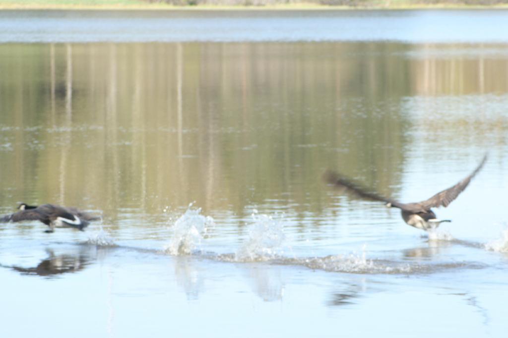 IMG_3831.JPG