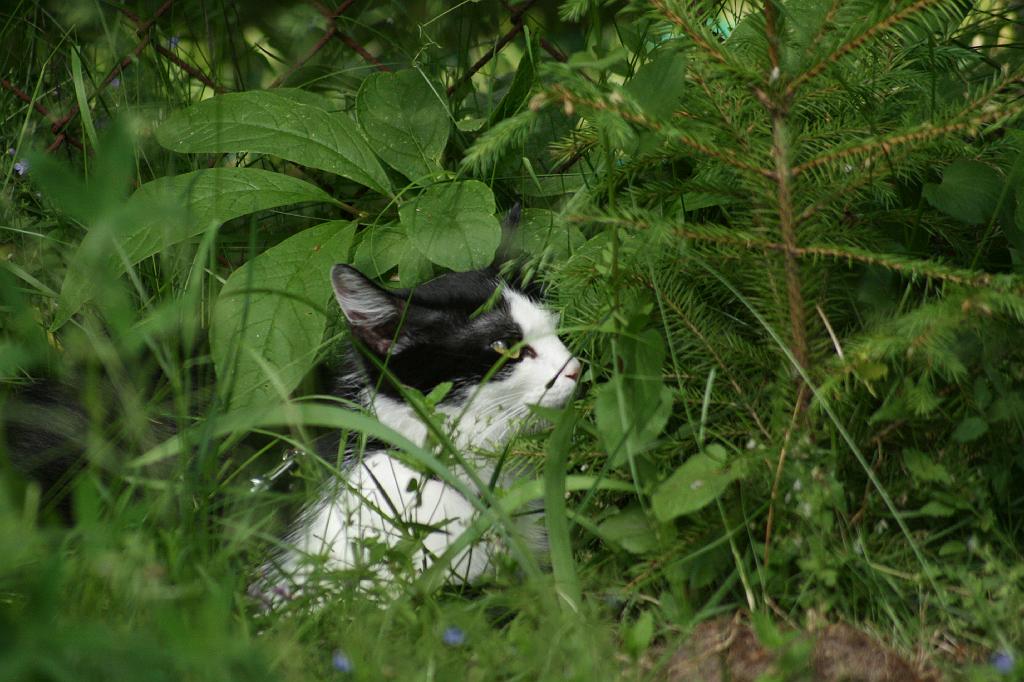 IMG_4357.JPG