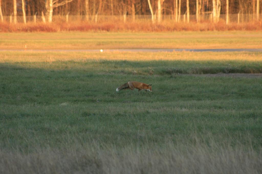 IMG_6399.JPG