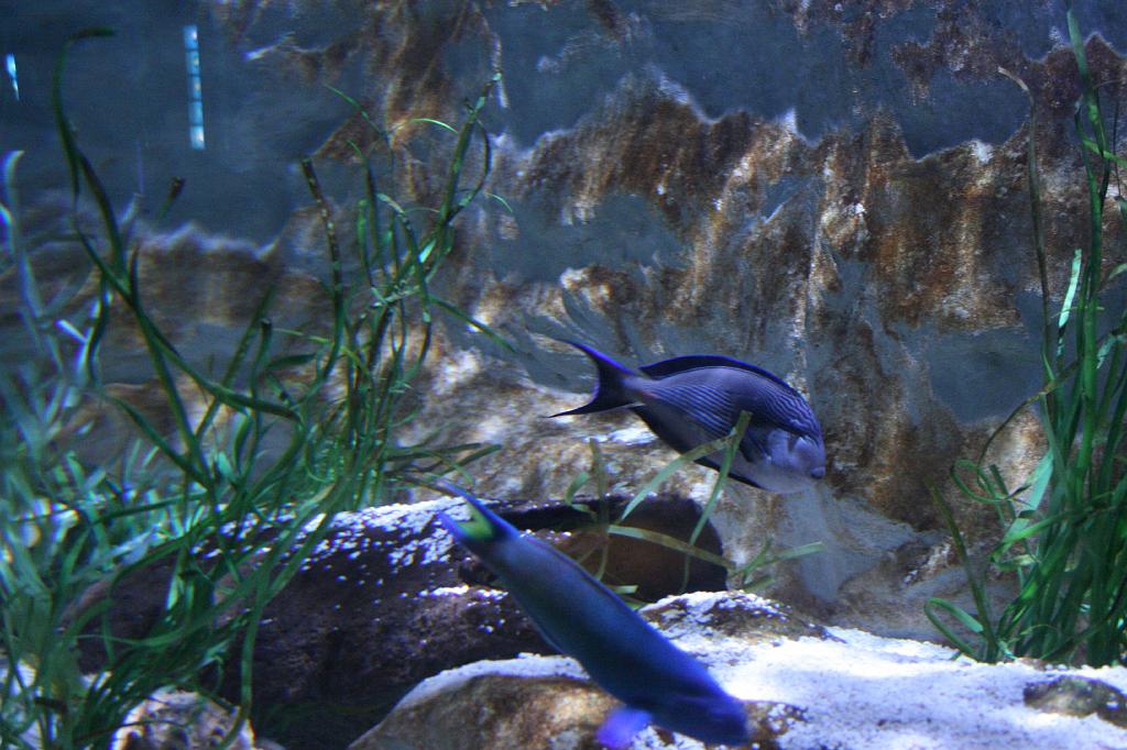 IMG_4844.JPG
