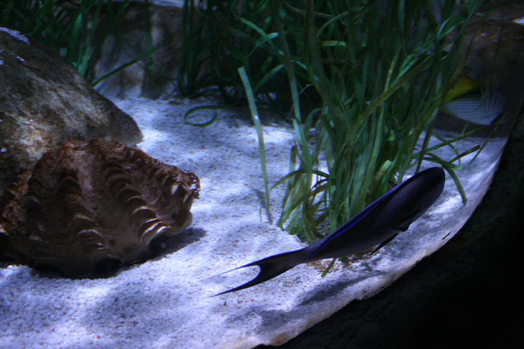 IMG_4847.JPG