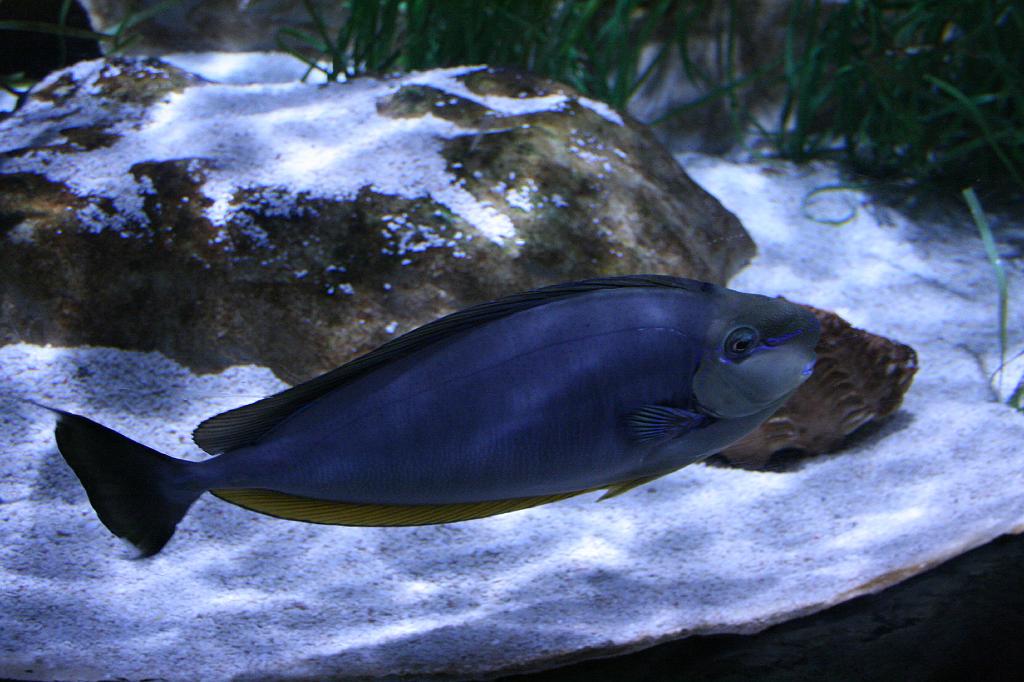 IMG_4849.JPG