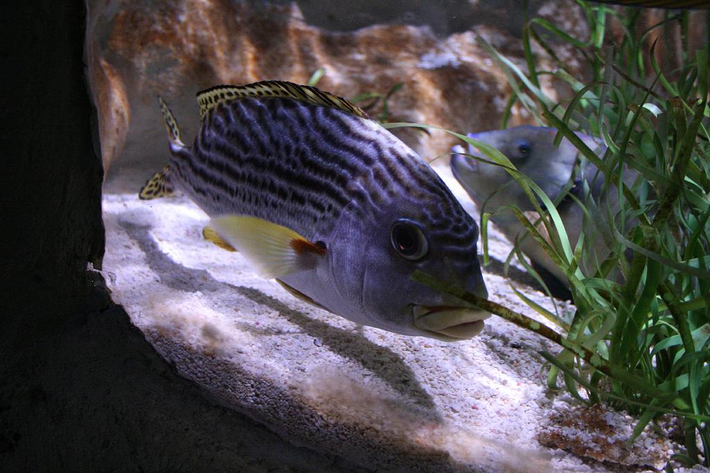 IMG_4850.JPG