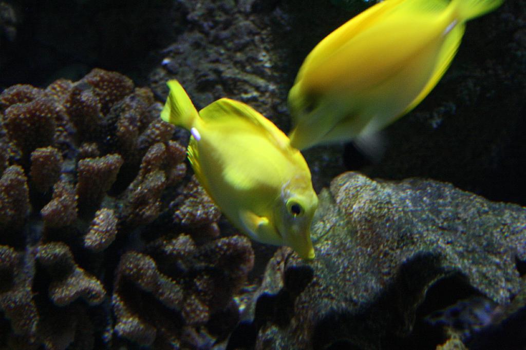 IMG_4857.JPG
