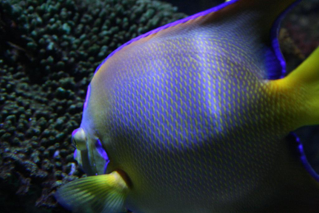 IMG_4859.JPG